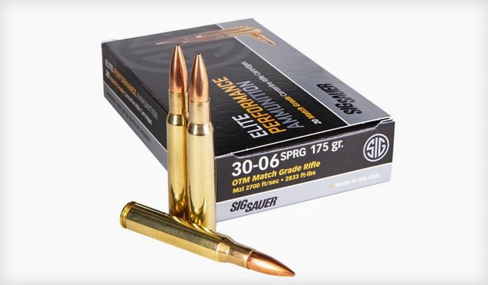 .30-06 Springfield Cartridge