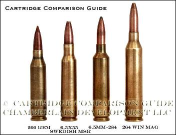 Ammunition Types