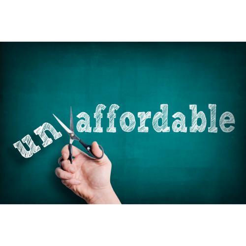 Budget Constraints and Affordability