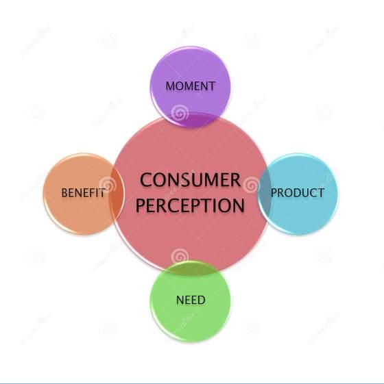 Consumer Perception