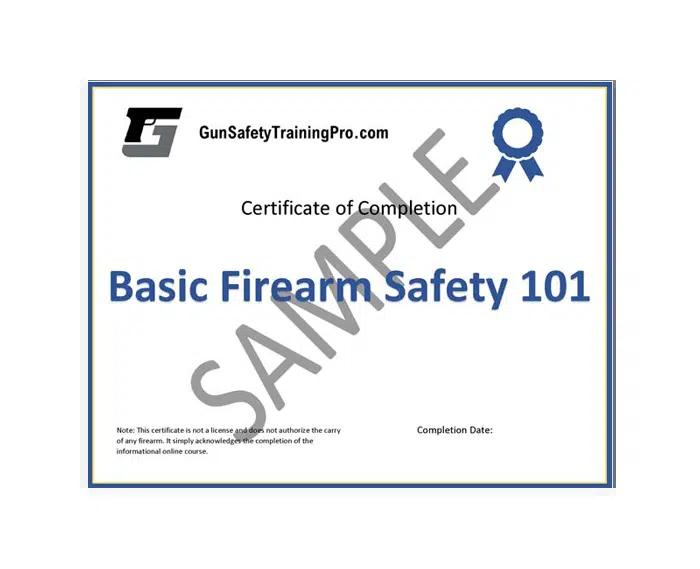 Safety Considerations When Buying Firearms Online