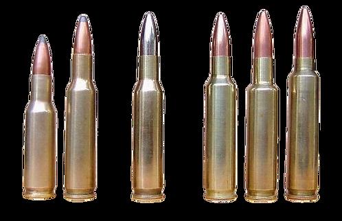 What is a .22 LR and a .32 Caliber?