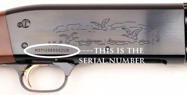 What is a Firearm Serial Number?