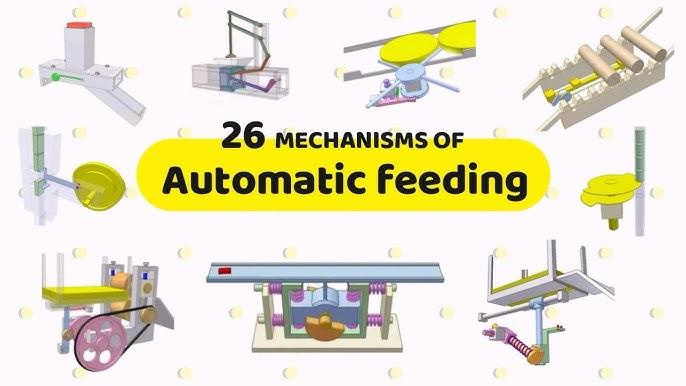 What: Understanding the Feeding Mechanism