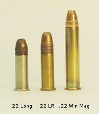 When to Use .22 WMR or .22 LR?