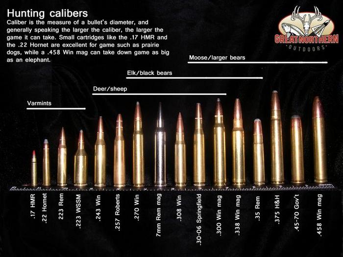 When to Use Each Caliber