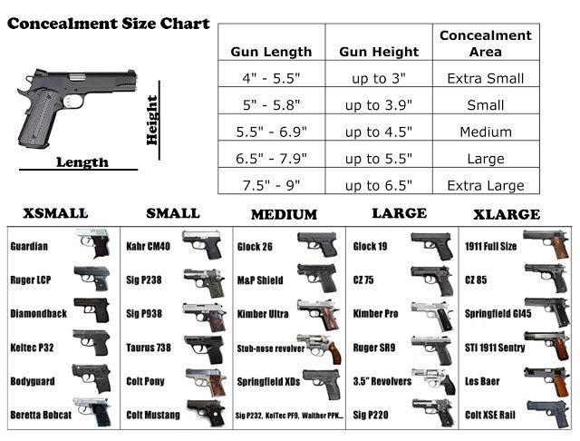 Which One Should You Choose?